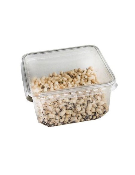 Bruches du pois - boîte (33 cl) - Taille 3 à 5 mm