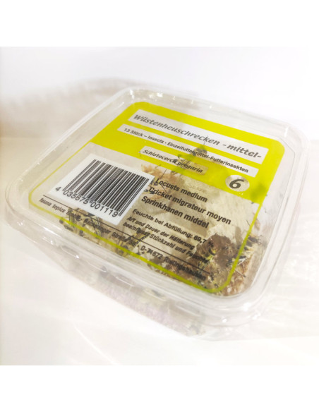 Criquet pèlerin moyen - boîte de 14 à 16 - Taille 1 à 2 cm - SG2 - Alivita sarl