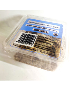 Criquet migrateur grand - boîte de 9 - Taille 4 à 7 cm - LM4 - Alivita sarl